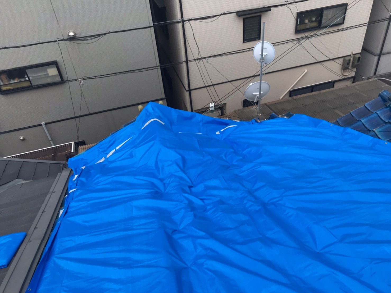 ブルーシート養生